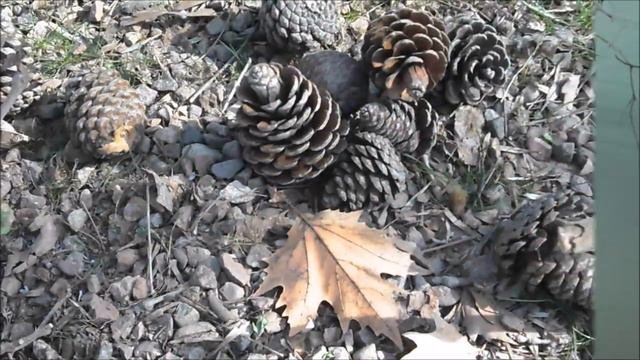 Узбекистан. Ташморе. Отдых.