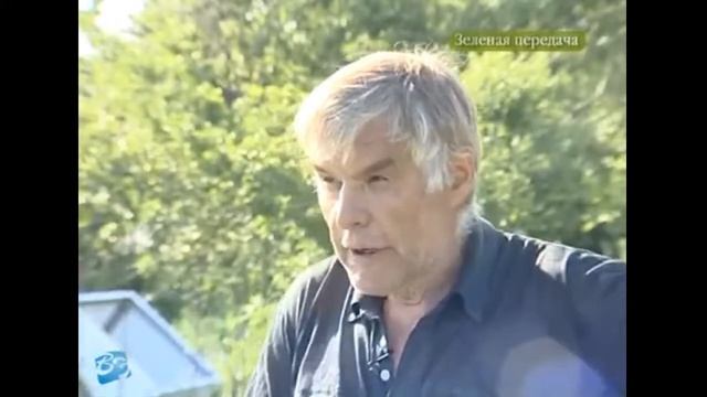 Сибирские ирисы - 2 часть смотреть онлайн