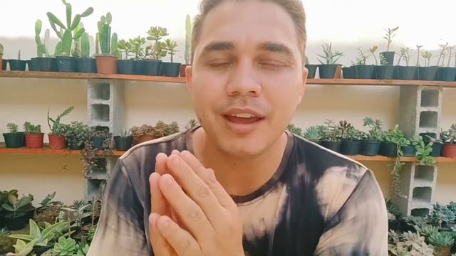 🔴SUCULENTA COLORIDA NA COLEÇÃO: COMO CUIDAR DA SUCULENTA ECHEVERIA PULVINATA RUBY👈 смотреть онлайн