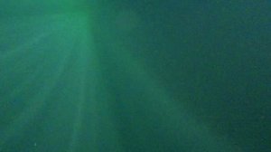 Зимнее подледное плавание .