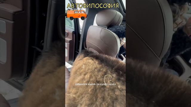 Козлы атакуют EXEED VX!))) #automobile #топ #юмор #прикол #4x4 #зима #алтайскийкрай #животные #смех