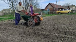 Мотоблок Мотор Сич,посадка картошки