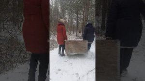 Жилье для щенков ч.1