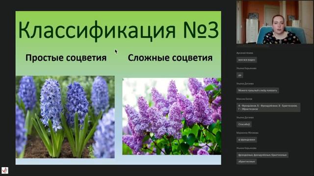 Лекция «Цветки и соцветия»