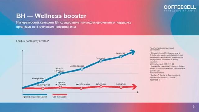 Т. Протасенко - Презентация Coffeecell 2022 08 09 смотреть онлайн