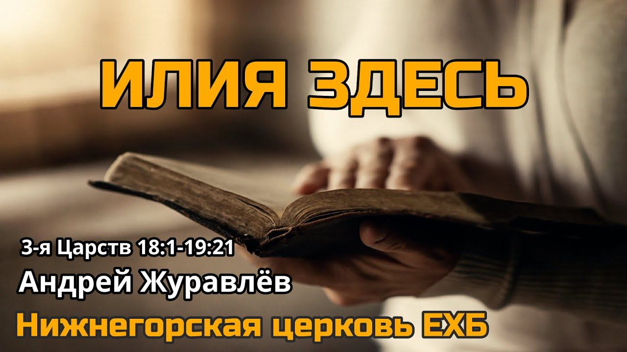 Илия здесь (Андрей Журавлёв)