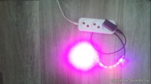 Фитолента с Aliexpress. Такому подарку растения будут не рады.