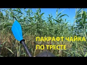 Пакрафт Чайка по тресте (Packraft Chaika po Treste1)#birdypackraft