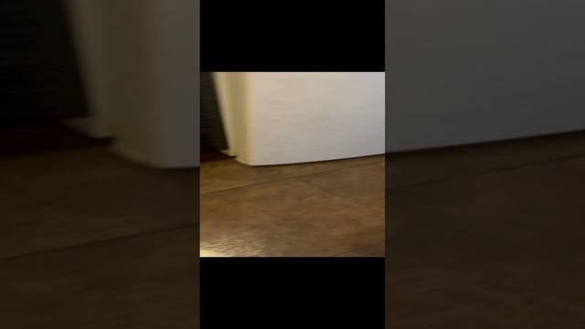 2022-11-14 смотреть онлайн