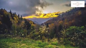 Omar Hisham Al-Arabi/Surah 2:255/Oмар Хишам аль-Араби/Аят аль Курси/Очень красивое чтение Карана