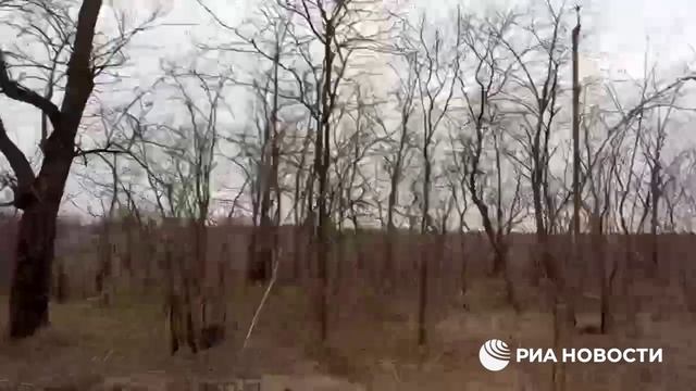 Репортеры РИА Новости, 
