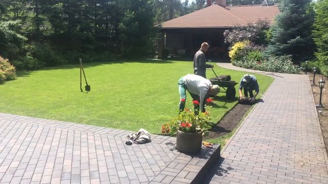 Как работает дернорез