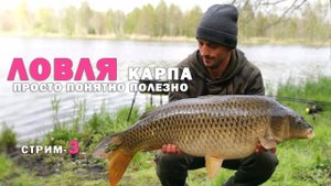 Как ловить карпа ВСЕГДА. Прямой эфир. + БОМБА Розыгрыш