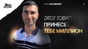 Как в 2024 году выбрать идеальный товар на Wildberries, чтобы он приносил прибыль