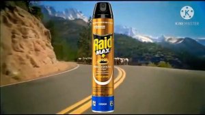 Raid Kills Bugs Dead