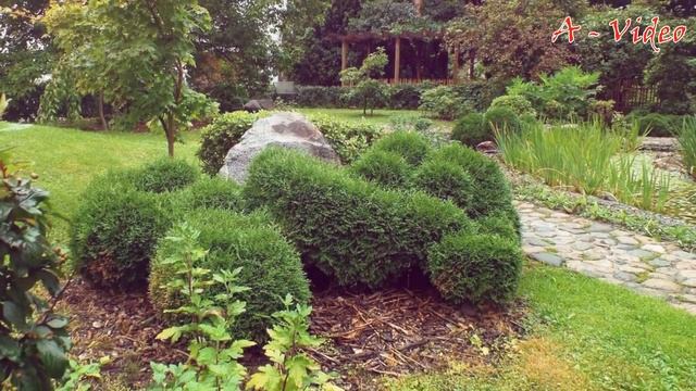 ?Ландшафтный дизайн Лучшие примеры для вашего вдохновения  Landscaping ideas  A - Video