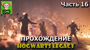 Hogwarts Legacy. Прохождение без комментариев. Огонь и злой нрав. Что-то на Гоббледуке. Часть 16