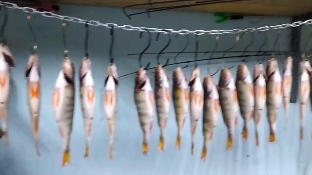 Окунь зимней с КВХ натурального горячего копчения в термокамере рецепт