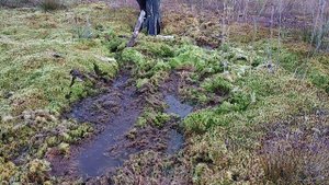 Wading rubber boots in the swamp (part 2)