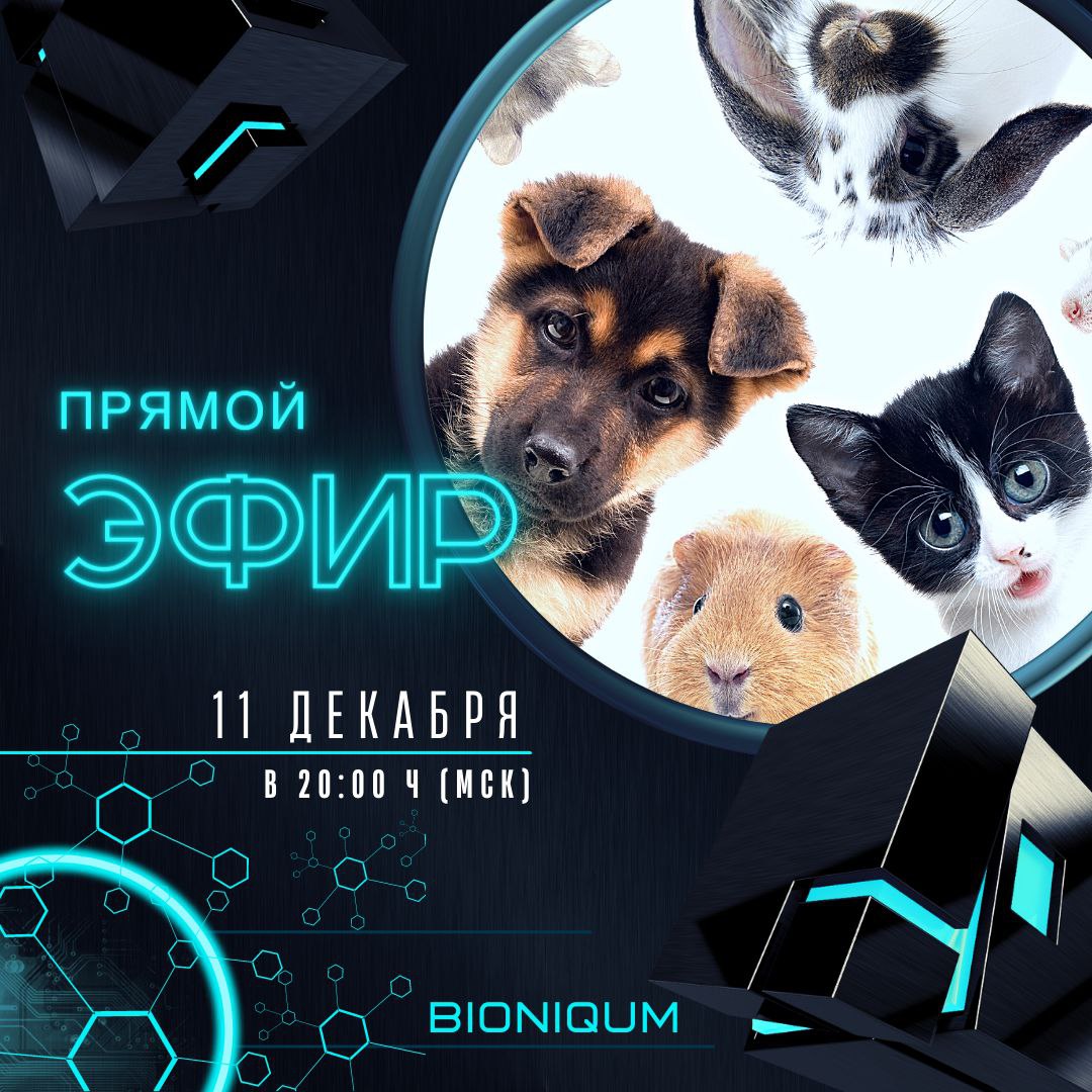 Братья наши меньшие