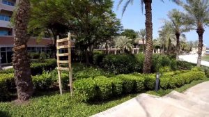 Отдых в ОАЭ,обзор отеля Fujairah Rotana.