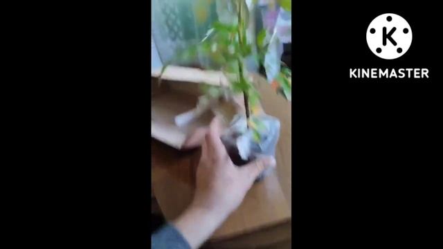 Первая посылка с Опт-хоз смотреть онлайн