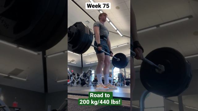 355 lbs (160 kg) Conventional Deadlift PR! смотреть онлайн