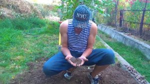 Увидел в земле голубой Алмаз