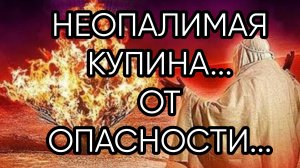 НЕОПАЛИМАЯ КУПИНА...ОТ ОПАСНОСТИ...ДЛЯ ВСЕХ...