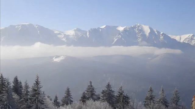 😎George zamfir pan flüt: My heart will go on ..🎶🤍 смотреть онлайн