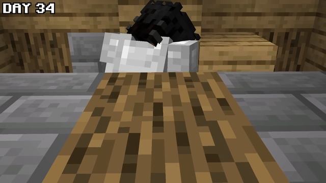 I Survived 100 days In One Piece Minecraft...This is what happened смотреть онлайн