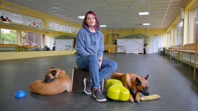 Как воспитать малинуа смотреть онлайн