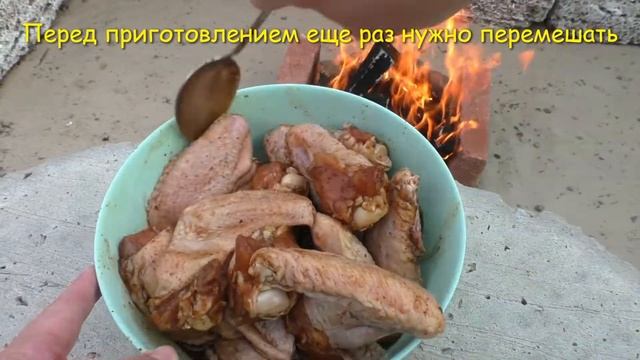 Готовим крылышки барбекю на природе Рецепт самого вкусного маринада