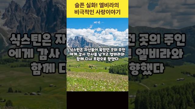 슬픈 실화! 엘비라의 비극적인 사랑 이야기