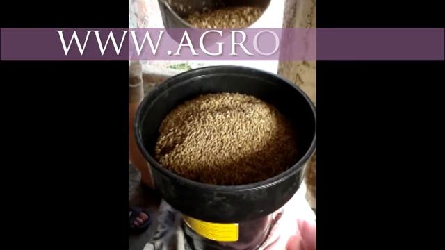 Grūdų smulkintuvas Kolos 2M смотреть онлайн