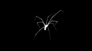 Ганс Гейнц Эверс - ПАУК (РАДИОСПЕКТАКЛЬ)