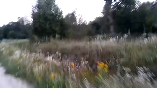 Тенешево вымирает смотреть онлайн