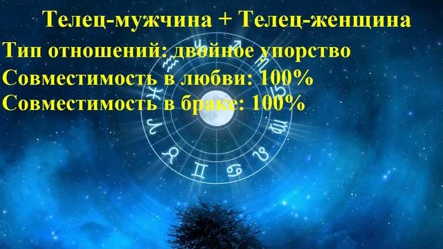 Совместимость Телец-мужчина и Телец-женщина