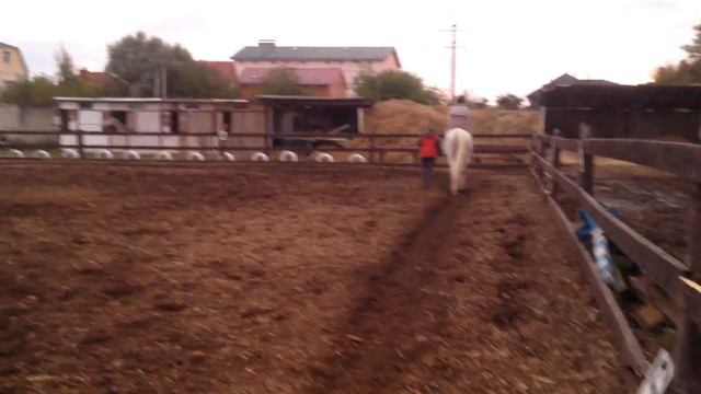 Первый раз вверхом на лошади) смотреть онлайн