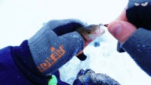 Рыбалка на окуня зимой❗Ловля окуня со льда❗Лучшая зимняя блесна на окуня❗