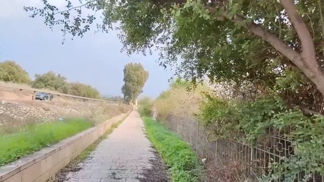 28.12.22 Капернаум (Capernaum) - כפר נחום Деревня Наума смотреть онлайн