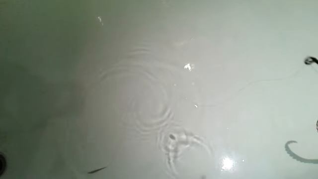 блесна Матвейчикова ВВ 40мм смотреть онлайн