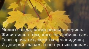 Георгий Шелд - Заповедь поэта