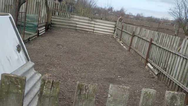 #763ЗДЕСЬ ТАК НЕ САДЯТ/ДЕЛАЮ ПО СВОЕМУ/ВЫ ПРОСИЛИ/Я ПОКАЗЫВАЮ#купилидомнаюге#переезднаюг