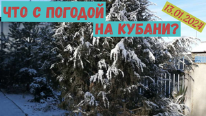 Что с погодой на Кубани?(13.01.2024)