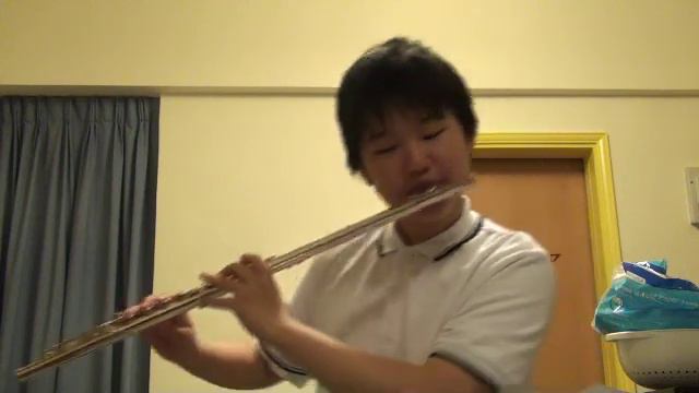 Fairytale ~ (Tong Hua) 光良 童話 Flute Cover смотреть онлайн