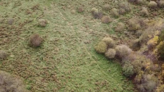 Чериков. Река Сож. Природа. смотреть онлайн