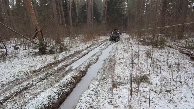 квадроцикл и мототехника жёсткое месиво в снежном лесу