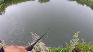 Судак.Утренний клев судака на спининг.Спининг на реке ИК.