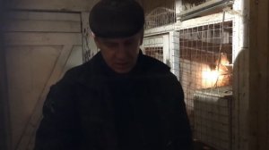 Яд для крыс и мышей